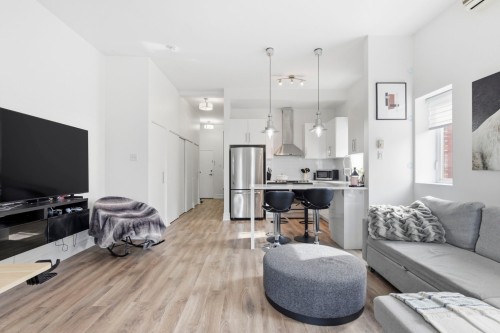 Salon - 304-6725 Boul. St-Laurent, Montréal (Rosemont/La Petite-Patrie), QC - Indoor Photo Showing Living Room