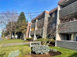205-377 Dogwood St Campbell River, BC V9W 2V1