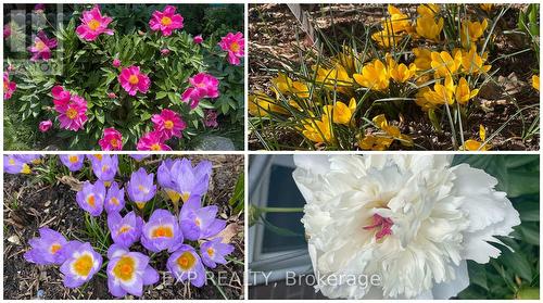 312 Faraday Court, Waterloo, ON - 