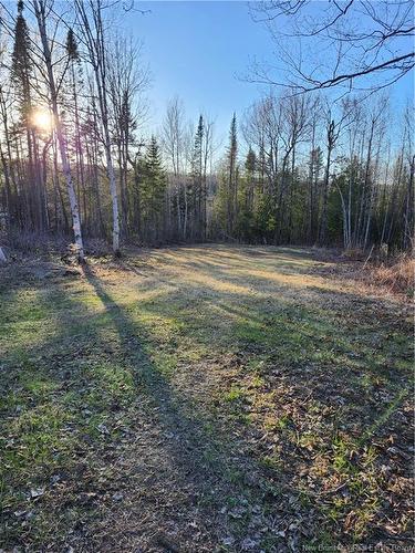 Lot 88-72 Willow St, Beardsley, NB 