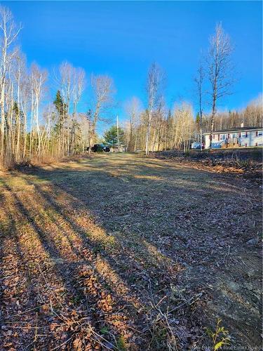 Lot 88-72 Willow St, Beardsley, NB 
