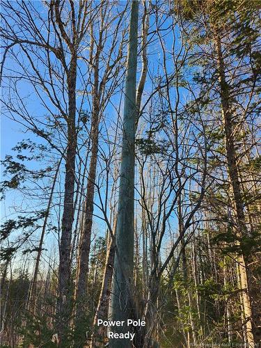 Lot 88-72 Willow St, Beardsley, NB 