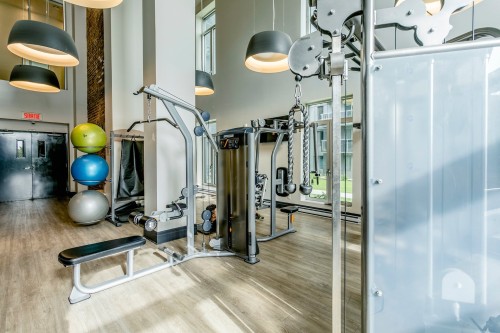 Exercise Room - 804-1800 Boul. René-Lévesque O., Montréal (Ville-Marie), QC - Indoor Photo Showing Gym Room