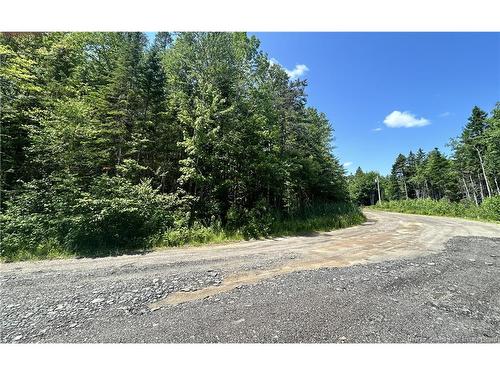 Lot David, Galloway, NB 