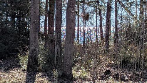 100 Little Deer Dr, Little Deer, MB 