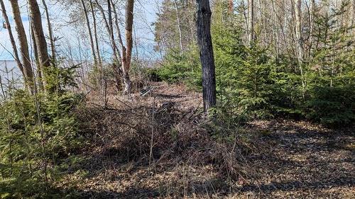 100 Little Deer Dr, Little Deer, MB 