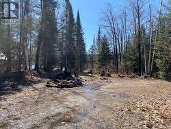 47C River DR Blind River, ON P0R 1B0