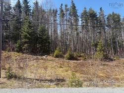 Lot 22 Jorphie Drive Mount Uniacke, NS B0N 1Z0