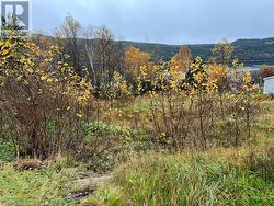 6 Diagonal Road Baie Verte, NL A0K 1B0