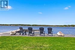 Life at the Lake - 