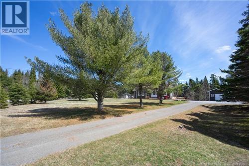 Wind you way through the pines to your country retreat - 8 Dane Row, Willow Grove, NB - Outdoor With View