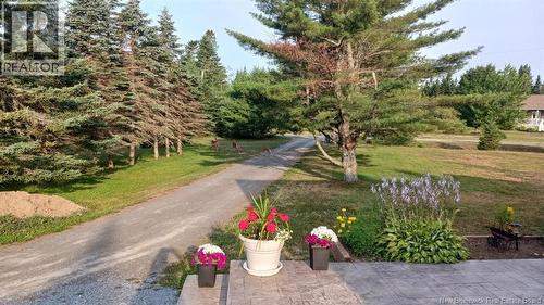 8 Dane Row, Willow Grove, NB - Outdoor