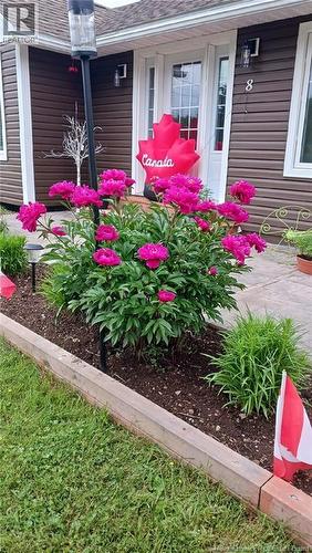 8 Dane Row, Willow Grove, NB - Outdoor With Deck Patio Veranda