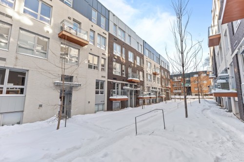 Entrée extérieure - 558 Rue Nicolet, Montréal (Mercier/Hochelaga-Maisonneuve), QC - Outdoor