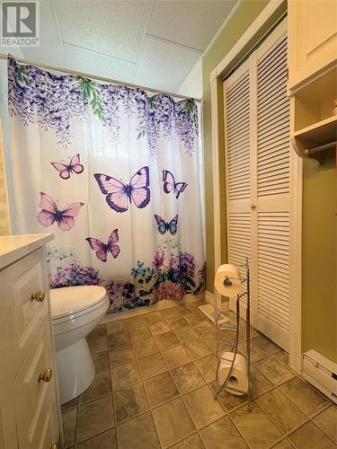 162 Main Street, Summerford, NL - Indoor Photo Showing Bathroom