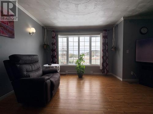 162 Main Street, Summerford, NL - Indoor Photo Showing Living Room