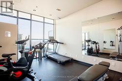 Gym - 
