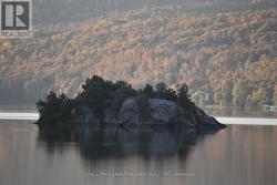 51 BUELOW ROAD  Bonnechere Valley, ON K0J 1T0