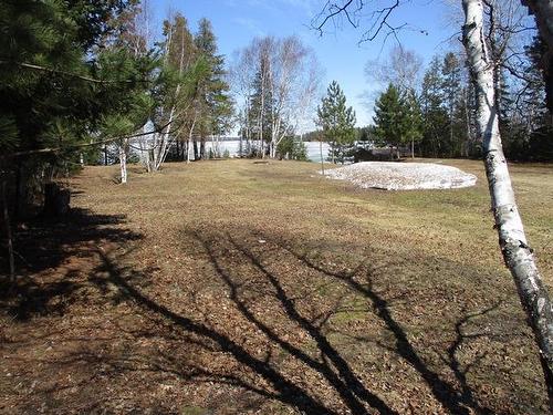 849 Mcintyre Drive, Dryden, ON - Outdoor With View