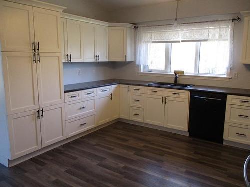 849 Mcintyre Drive, Dryden, ON - Indoor Photo Showing Kitchen With Double Sink
