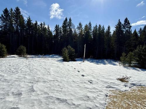 982 Hwy 608, Neebing, ON - Outdoor