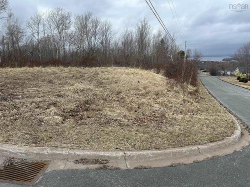 33 Twelfth Street, Trenton, NS 