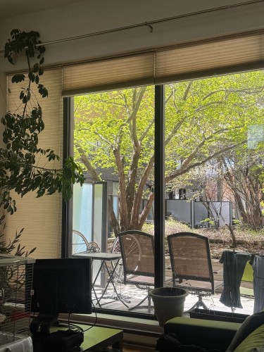 Courtyard - 5750 Rue St-Hubert, Montréal (Rosemont/La Petite-Patrie), QC - Outdoor