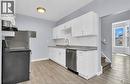 294 Louis Avenue, Windsor, ON  - Indoor Photo Showing Kitchen 
