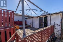 Backyard - 