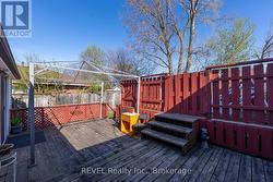 Backyard - 
