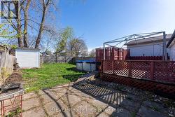 Backyard - 
