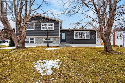 14-16 Farm Road  Bay Roberts, NL A0A 1G0