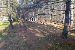 20 Aronson DR Sault Ste. Marie, ON P6A 0B6