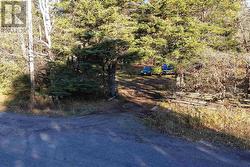 24 Aronson DR Sault Ste. Marie, ON P6A 0B6