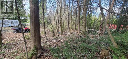 48 Waldweg, Scugog, ON 