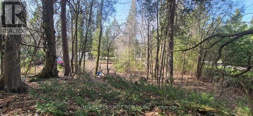 48 Waldweg, Scugog, ON 