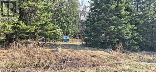 48 Waldweg, Scugog, ON 