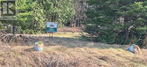 48 Waldweg, Scugog, ON 