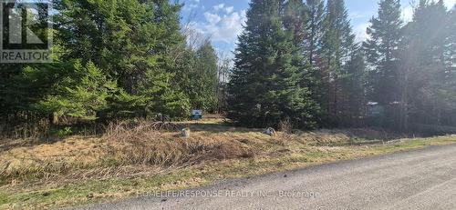48 Waldweg, Scugog, ON 