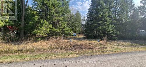 48 Waldweg, Scugog, ON 