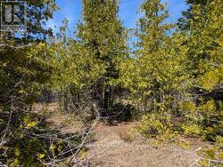 0 SUTTER ROAD Northern Bruce Peninsula, ON N0H 2T0