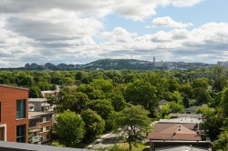 Vue - 