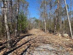 6192 COUNTY RD 50 Trent Hills (Campbellford), ON K0L 1L0