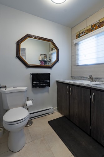 Salle d'eau - 206 Mtée Du Lac-Godin, Lac-Saint-Paul, QC - Indoor Photo Showing Bathroom