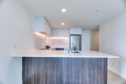 Cuisine - 4019-1210 Rue Jeanne-Mance, Montréal (Ville-Marie), QC - Indoor Photo Showing Kitchen With Double Sink
