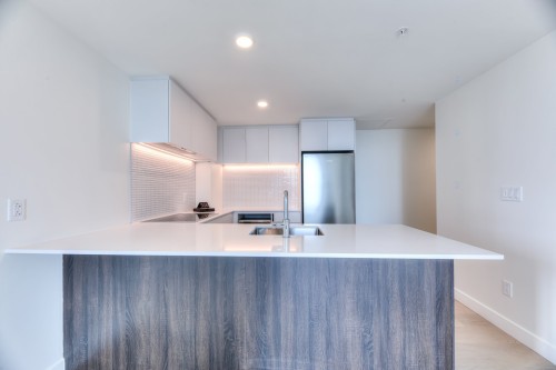 Cuisine - 4019-1210 Rue Jeanne-Mance, Montréal (Ville-Marie), QC - Indoor Photo Showing Kitchen With Double Sink