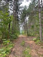 0 GOVERNMENT ROAD Whitewater Region, ON K0J 1C0