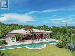 CASA KOI C. COBANO ROAD  Costa Rica, ON None