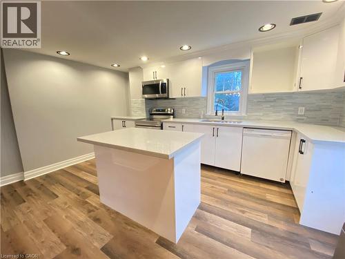 168 Garside Avenue N, Hamilton, ON - Indoor Photo Showing Kitchen With Double Sink