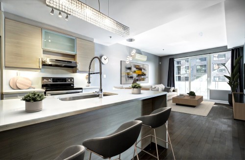 Overall view - 307-1800 Boul. Angrignon, Montréal (Lasalle), QC - Indoor Photo Showing Kitchen With Upgraded Kitchen
